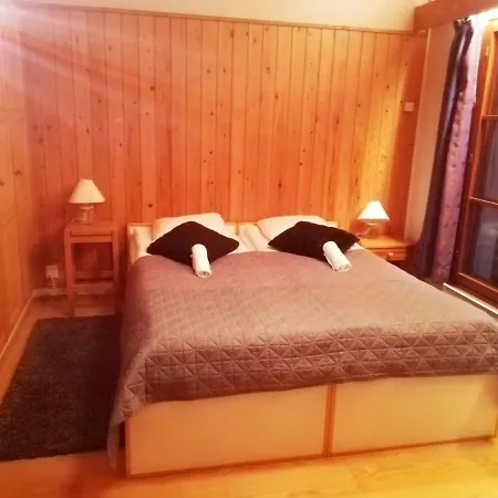 Arctic Aurora Homestay