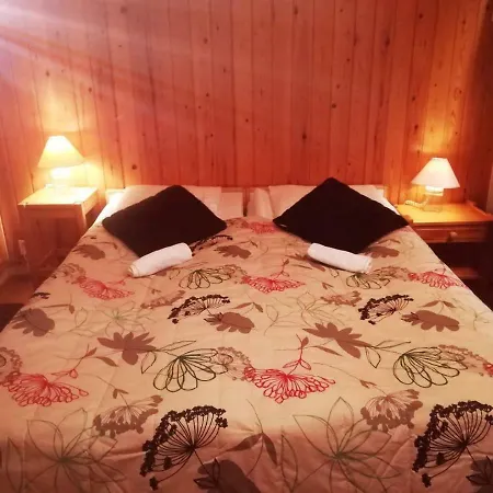 Homestay Arctic Aurora *