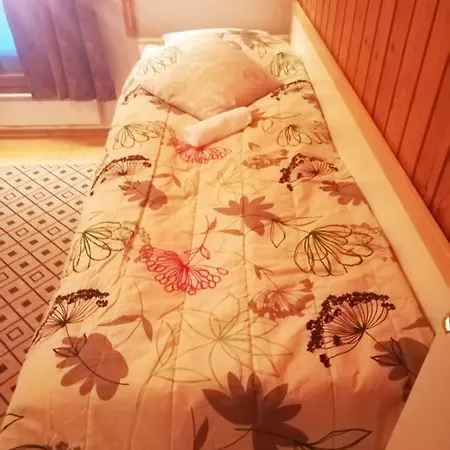 Homestay Arctic Aurora *