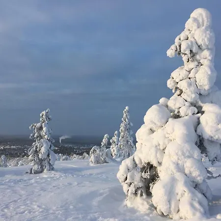 Homestay Arctic Aurora